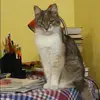 Отзыв от Мария Акимова